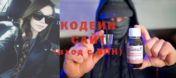 шишки Карпинск