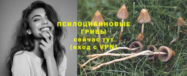 марки nbome Краснослободск