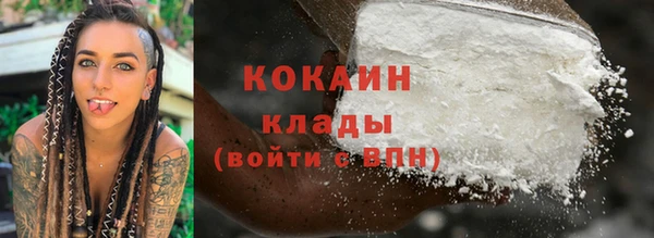 прущие грибы Пенза